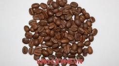 Cà phê Arabica CBU S18